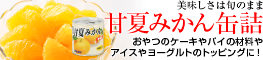 美味しさは旬のまま　甘夏みかん缶詰　おやつのケーキやパイの材料やアイスやヨーグルトのトッピングに！