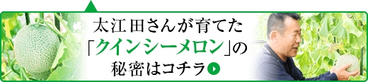 太江田さんが育てた「クインシーメロン」の秘密はコチラ