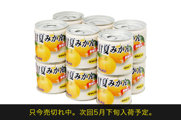 甘夏みかん（身割れ）缶詰12個セット(1057)