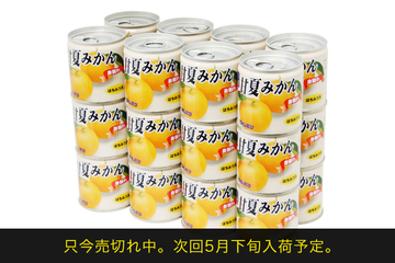 甘夏みかん（身割れ）缶詰24個セット(1054)