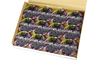 日本の果実　ブルーベリーゼリー(12個)(4105) 縮小